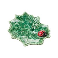 FOLHA-CINERARIA-COM-JOANINHA-FOLHAS-DO-CAMPO